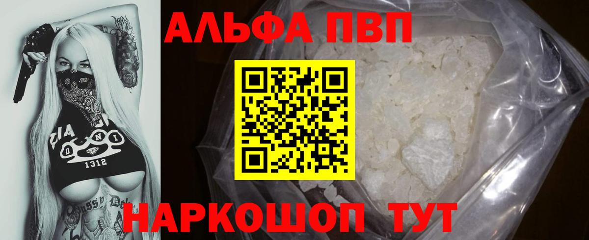 A PVP СК КРИС Пенза