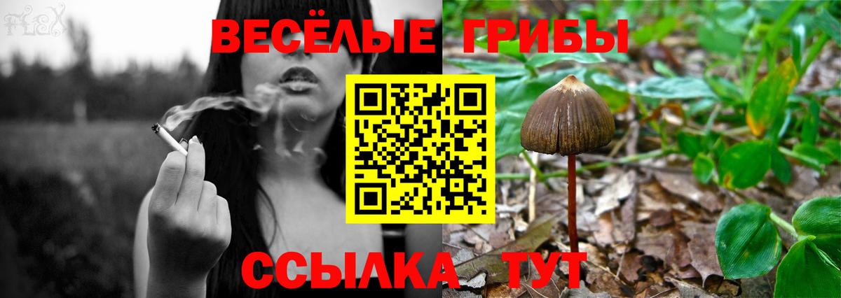 Псилоцибиновые грибы Magic Shrooms  Вход с VPN  Пенза 